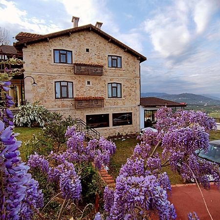 Hayat Oksijen Resort Ordu Bagian luar foto